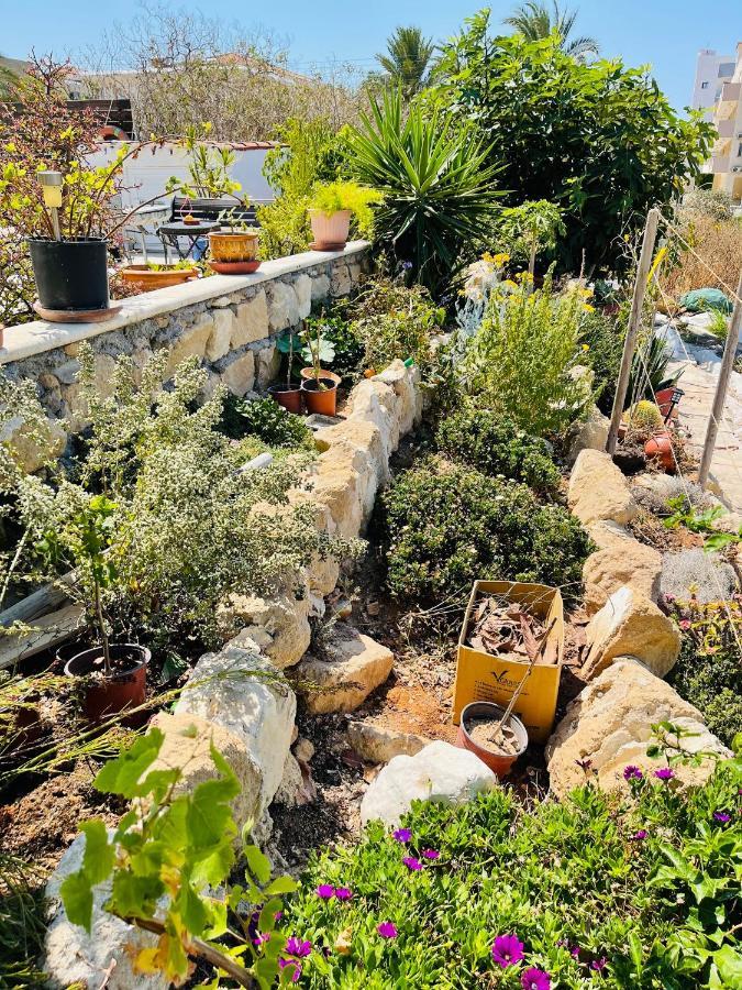 Apartamento Peaceful Townhouse With Private Pool Near The Sea Paphos Exterior foto